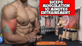 GROS BRAS MUSCULATION ENTRAINEMENT 10 MINUTES [upl. by Jermayne]