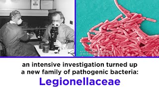 Legionnaires’ Disease Legionella pneumophila [upl. by Andra]