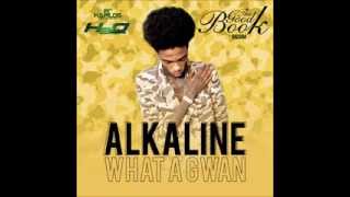 ALKALINE  WHA A GWAN  GOOD BOOK RIDDIM  H2O RECORDS  21ST HAPILOS DIGITAL [upl. by Jens820]