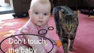 Amazing Cat protecting babies [upl. by Eppillihp829]