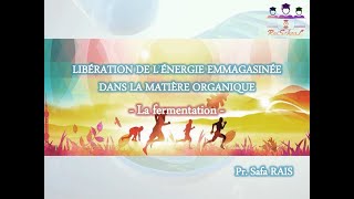 Libération de lénergie emmagasinée dans la matière organique  La fermentation [upl. by Adamsun]