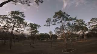 Four Dimensions  FPV Freestyle [upl. by Gerge]