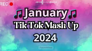 TikTok Mashup 2024 🎵 [upl. by Cown]