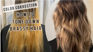 COLOR CORRECTION  Toning Down BRASSY Hair  Tips For FORMULATING [upl. by Aneen20]