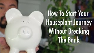 Start and Grow Your Houseplant Collection On A Budget  Beginners Guide To Indoor Plants [upl. by Harutek]