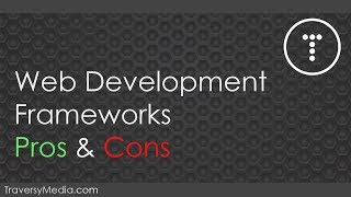 Web Development Framework Pros amp Cons [upl. by Meeks955]