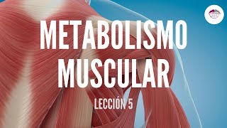 5 METABOLISMO MUSCULAR FISIOLOGÍA MUSCULAR [upl. by Aramoj]