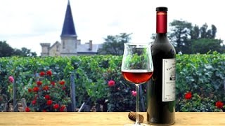 La Route des Vins  Bordeaux [upl. by Iglesias]