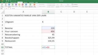 Het totaal berekenen in Excel [upl. by Odoric]