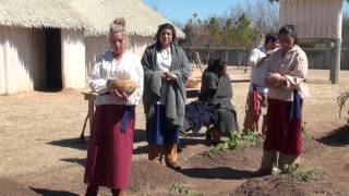 Chickasaw Nation The Story of the Three Sisters [upl. by Victory4]