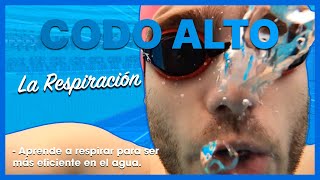 ▷ Aprende a NADAR desde 0 🏊  La RESPIRACIÓN 🗣 [upl. by Letti40]