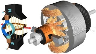 DC Motor How it works [upl. by Nisotawulo707]