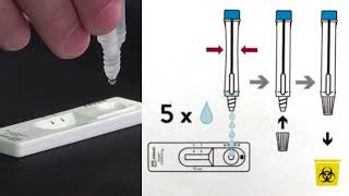 Rapid antigen screening [upl. by Earissed]