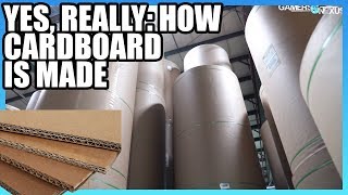 How Cardboard is Made  Factory Tour [upl. by Levins]