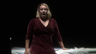 Tristan und Isolde quotMild und leisequot Nina Stemme [upl. by Mcconaghy]