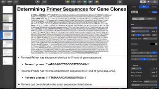 Primer Design for Cloning ENTIRE Gene Sequence [upl. by Alice]