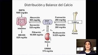 Metabolismo mineral y fisiologia osea [upl. by Hollenbeck]