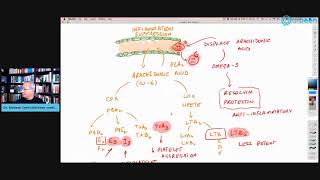 A Guide To Omega 3 Fatty Acids [upl. by Nonad952]