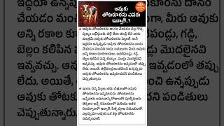 ఆవుకు తోటకూరను ఎవరు ఇవ్వాలి  Sri Diya Telugu [upl. by Anilrahc347]