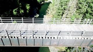 Fish Jumping on the Cowichan River [upl. by Danete956]