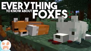 EVERYTHING to know about FOXES [upl. by Channa]