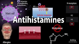 Histamine and Antihistamines Pharmacology Animation [upl. by Liban509]