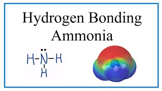 Hydrogen Bonding in Ammonia NH3 [upl. by Siulegroj617]