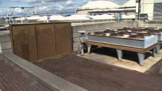 Understanding Wastewater Treatment [upl. by Aerdnwahs]