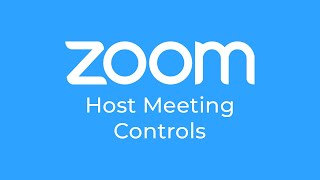 How To Use Zoom Meeting Controls Like a PRO [upl. by Narut]