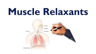 Neuromuscular Blocking Agents and Skeletal Muscle Relaxants  L4 U3  Pharmacology 4th semester [upl. by Enenaj706]