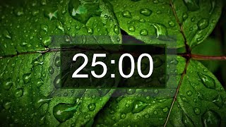 Countdown timer 25 minutes with relaxing music for concentration [upl. by Krock]