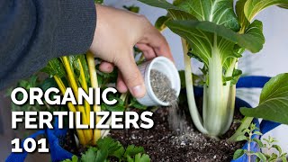 14 Organic Fertilizers and How to Use Them [upl. by Lau]