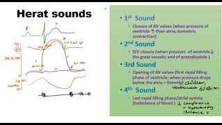 Heart Sounds [upl. by Norita]