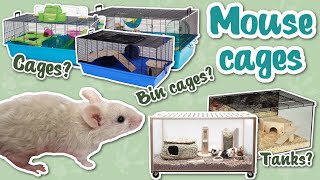 What cages are best for mice [upl. by Himelman]