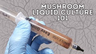 HOW TO MAKE LIQUID CULTURE FOR MUSHROOM GROWING Vented Lid Jars from Start to Finish [upl. by Arin]