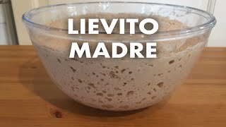 Lievito madre da zero [upl. by Gamin]