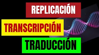 REPLICACIÓN TRANSCRIPCIÓN Y TRADUCCIÓN CELULAR [upl. by Elleirol718]