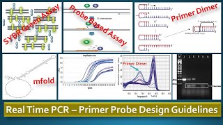 Real Time PCR  Primer Probe design guidelines [upl. by Canute589]