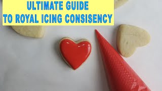 Guide to Royal Icing Consistency [upl. by Ahsocin70]