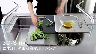 3D Sink®  3Dシンク  TOYO KITCHEN STYLE [upl. by Ellezaj]