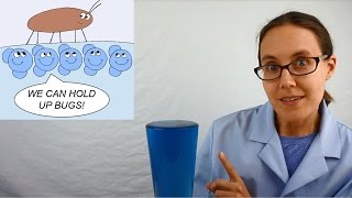 Science Moms Guide to Water Part 2  Surface Tension [upl. by Ahsinel]