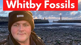 Whitby Fossil Hunting  Cliffs Under Whitby Abbey Jet Ammonites Bone [upl. by Marvel]