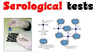 Serological tests [upl. by Oskar]