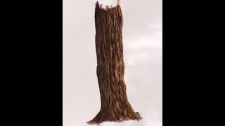 how to paint a tree trunk in acrylics [upl. by Hannah]