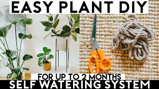 Plant SelfWatering System DIY  Surviving over 2 Months [upl. by Sackman]