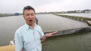 AN AQUACULTURAL REVOLUTION IN CHINA [upl. by Lebatsirhc]