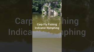 Carp Fly Fishing  How To Indicator Nymphing [upl. by Ynogoham]