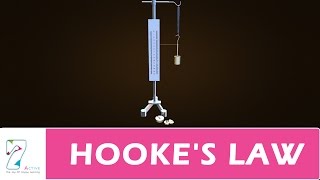 HOOKES LAW [upl. by Eleni645]