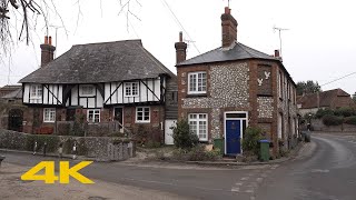 Steyning Walk Town Centre【4K】 [upl. by Ailerua]