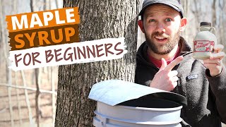 How To Make Maple Syrup Small Batch Syrup For Beginners [upl. by Eedahs]